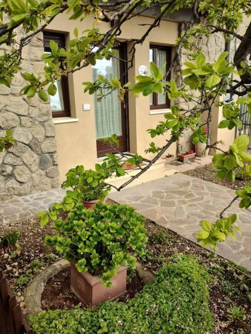 Apartamento La Casina Di Nonna Giulia Castiglione dʼOrcia Exterior foto
