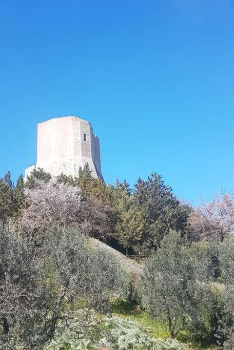 Apartamento La Casina Di Nonna Giulia Castiglione dʼOrcia Exterior foto